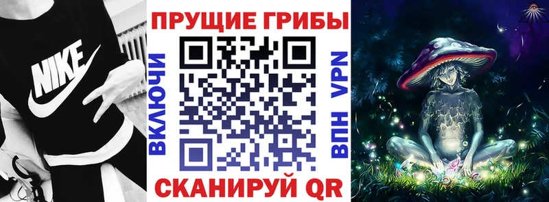 Галлюциногенные грибы MAGIC MUSHROOMS  Борзя 